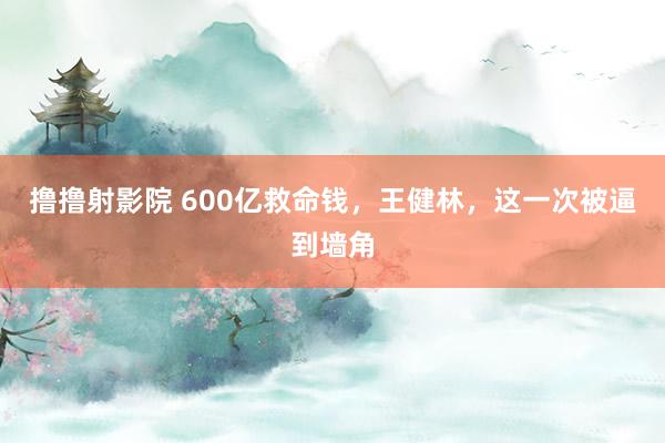 撸撸射影院 600亿救命钱，王健林，这一次被逼到墙角