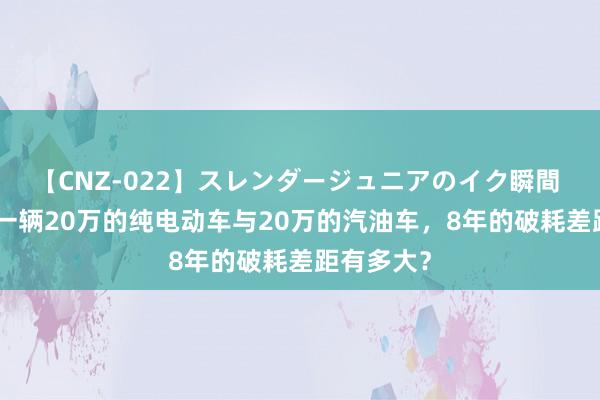 【CNZ-022】スレンダージュニアのイク瞬間 4時間 养一辆20万的纯电动车与20万的汽油车，8年的破耗差距有多大？