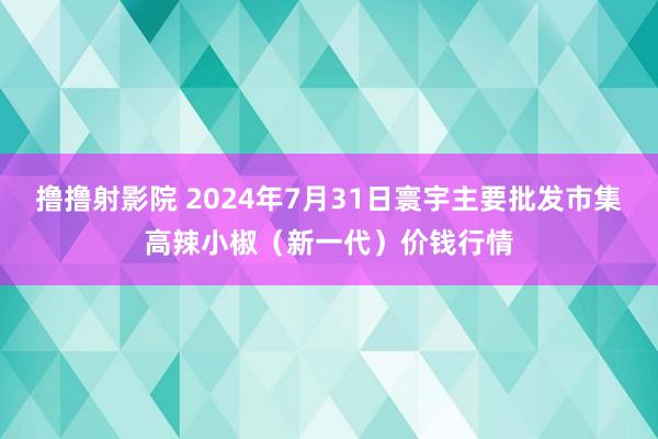 撸撸射影院 2024年7月31日寰宇主要批发市集高辣小椒（新一代）价钱行情