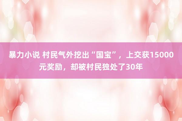 暴力小说 村民气外挖出“国宝”，上交获15000元奖励，却被村民独处了30年