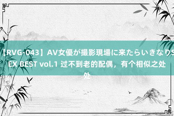 【RVG-043】AV女優が撮影現場に来たらいきなりSEX BEST vol.1 过不到老的配偶，有个相似之处