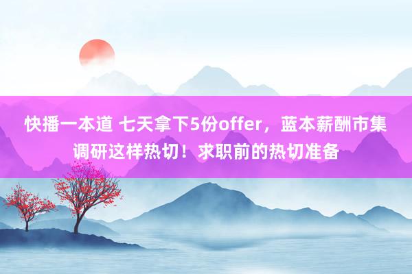 快播一本道 七天拿下5份offer，蓝本薪酬市集调研这样热切！求职前的热切准备