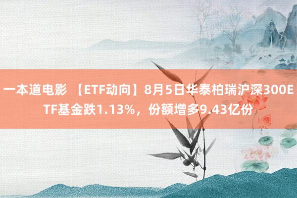 一本道电影 【ETF动向】8月5日华泰柏瑞沪深300ETF基金跌1.13%，份额增多9.43亿份