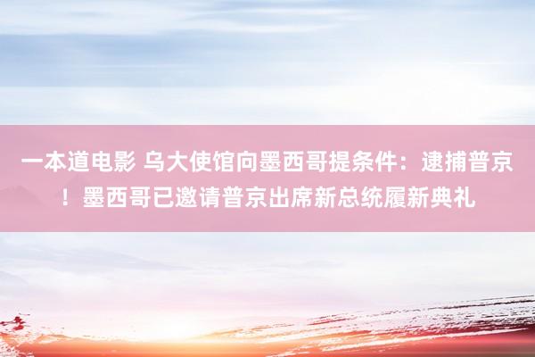 一本道电影 乌大使馆向墨西哥提条件：逮捕普京！墨西哥已邀请普京出席新总统履新典礼