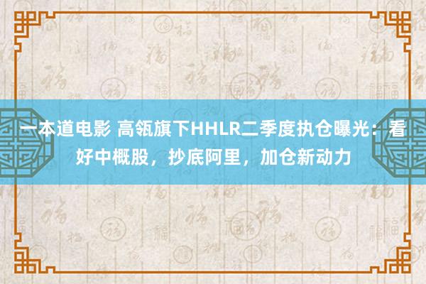 一本道电影 高瓴旗下HHLR二季度执仓曝光：看好中概股，抄底阿里，加仓新动力