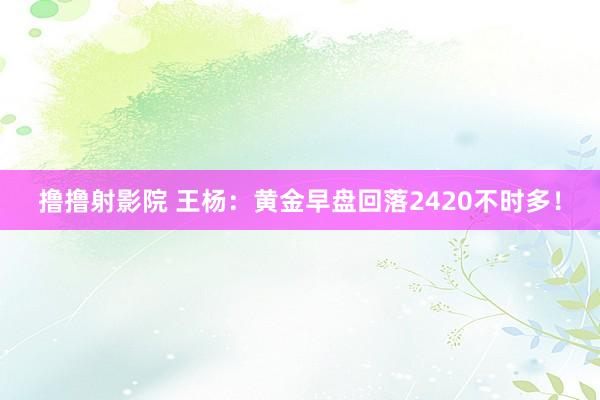 撸撸射影院 王杨：黄金早盘回落2420不时多！