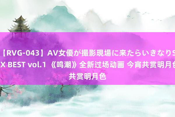 【RVG-043】AV女優が撮影現場に来たらいきなりSEX BEST vol.1 《鸣潮》全新过场动画 今宵共赏明月色