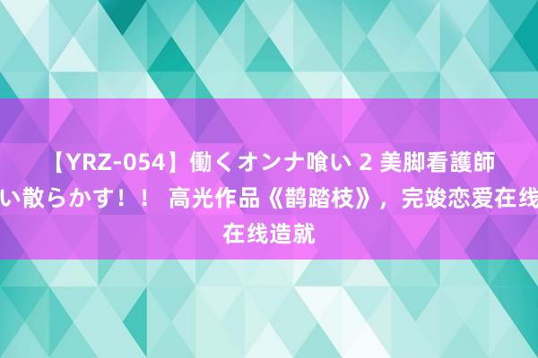 【YRZ-054】働くオンナ喰い 2 美脚看護師を食い散らかす！！ 高光作品《鹊踏枝》，完竣恋爱在线造就