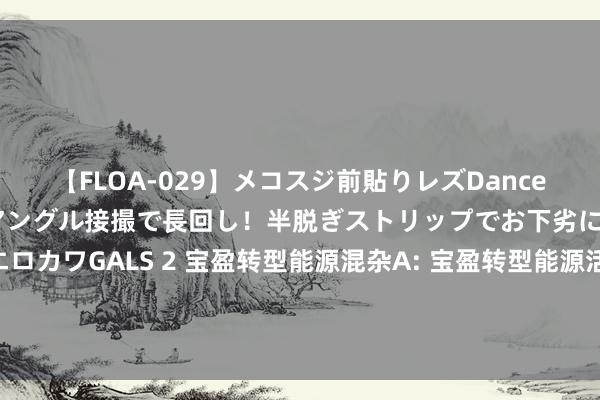 【FLOA-029】メコスジ前貼りレズDance オマ○コ喰い込みをローアングル接撮で長回し！半脱ぎストリップでお下劣にケツをシェイクするエロカワGALS 2 宝盈转型能源混杂A: 宝盈转型能源活泼确立混杂型证券投资基金(宝盈转型能源混杂A份额)基金家具贵府节录(更新)