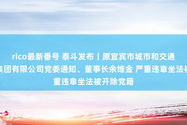 rico最新番号 泰斗发布丨原宜宾市城市和交通工程树立集团有限公司党委通知、董事长余维金 严重违章坐法被开除党籍