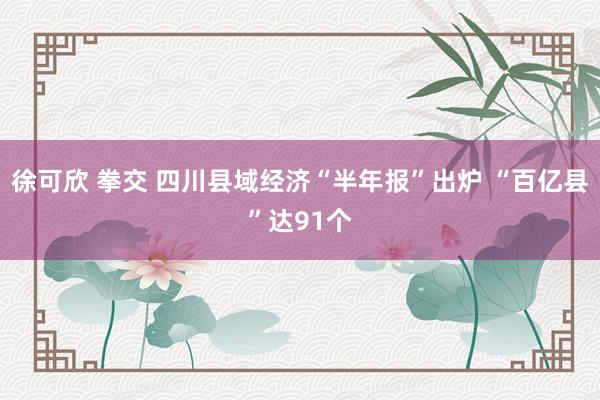 徐可欣 拳交 四川县域经济“半年报”出炉 “百亿县”达91个