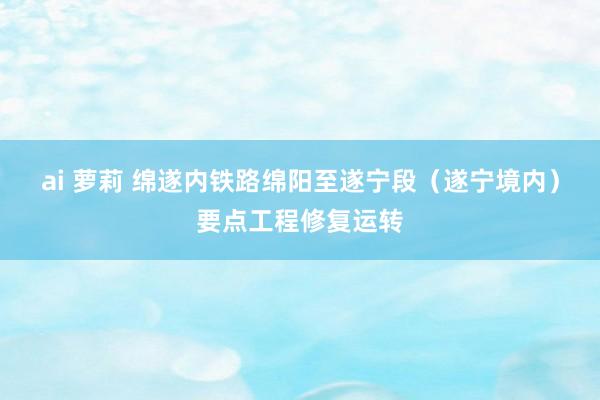 ai 萝莉 绵遂内铁路绵阳至遂宁段（遂宁境内）要点工程修复运转