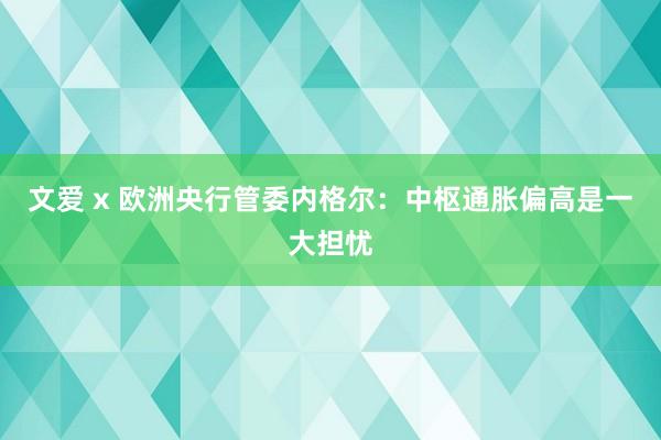 文爱 x 欧洲央行管委内格尔：中枢通胀偏高是一大担忧