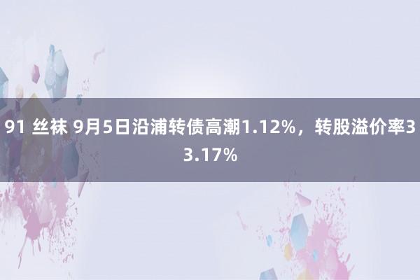 91 丝袜 9月5日沿浦转债高潮1.12%，转股溢价率33.17%