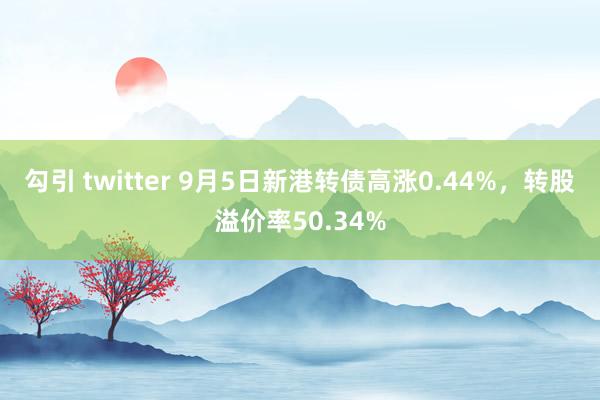 勾引 twitter 9月5日新港转债高涨0.44%，转股溢价率50.34%