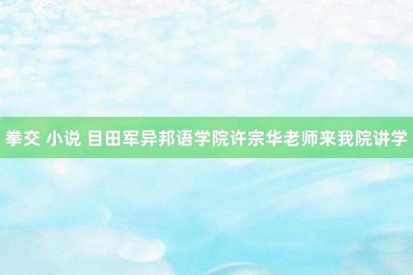 拳交 小说 目田军异邦语学院许宗华老师来我院讲学